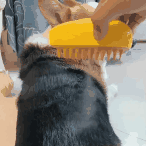 Cepillado en perros