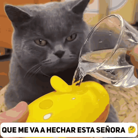 Carga de agua